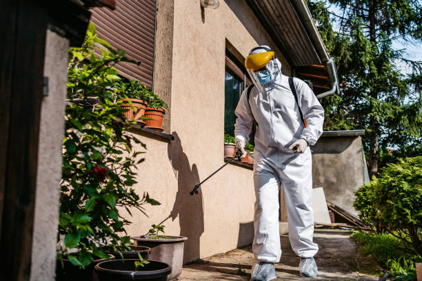Best Pest Prevention Services  in Dallas, OR
