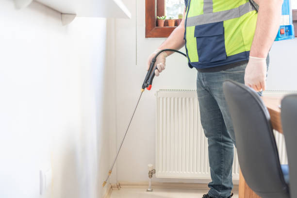 Flea Control Services in Dallas, OR
