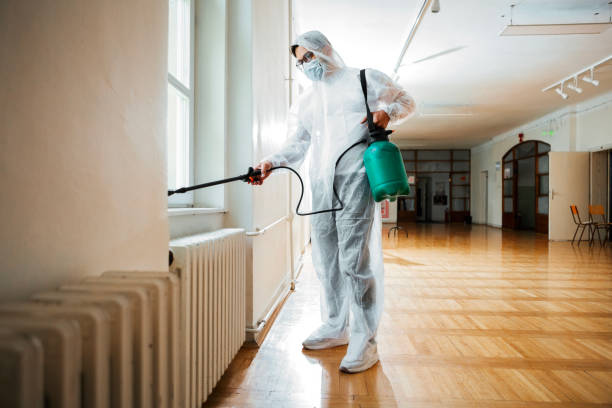 Best Termite Control Services  in Dallas, OR