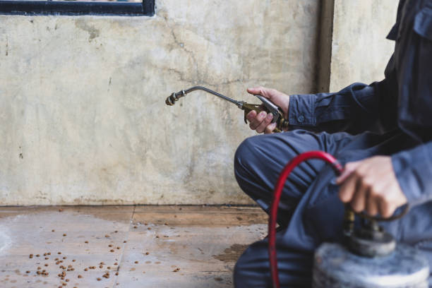 Professional Pest Control in Dallas, OR
