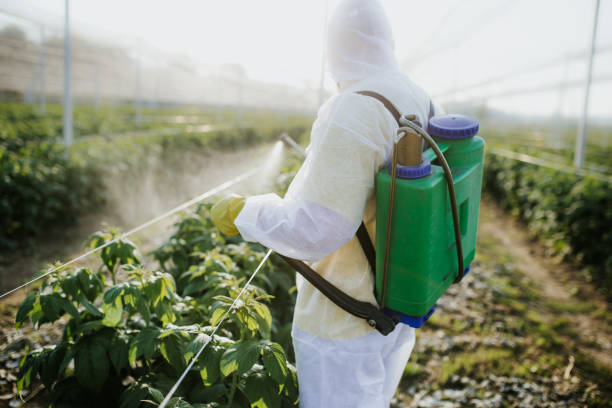 Best Pest Control Near Me  in Dallas, OR